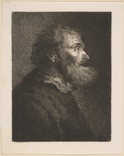 Un Hombre Viejo de Perfil de William Baillie