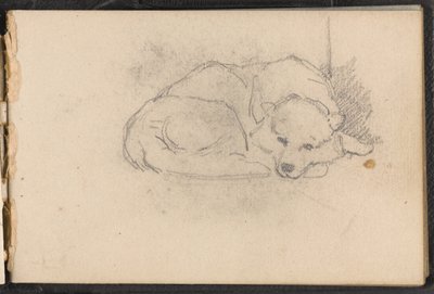 Boceto de un perro durmiendo, 1879 circa de William Barnes Wollen