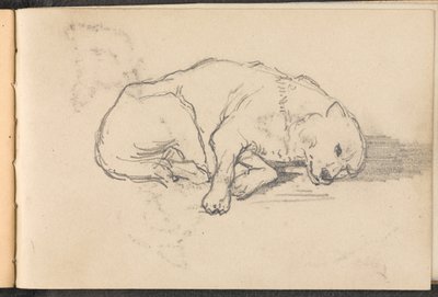 Boceto de un perro durmiendo, 1879 circa de William Barnes Wollen