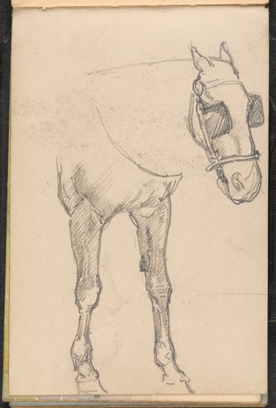 Boceto de caballo con anteojeras, 1879 circa de William Barnes Wollen