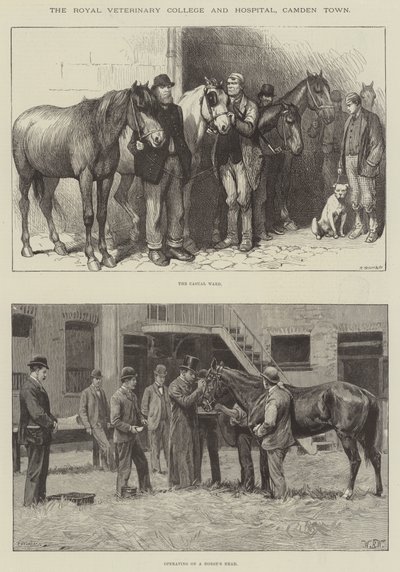 El Royal Veterinary College and Hospital, Camden Town de William Barnes Wollen