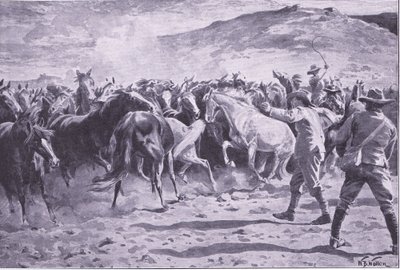 La captura de los caballos en el distrito de Brandwater cerca de Fouriesburg: reuniendo la manada, ilustración de Después de Pretoria: La Guerra de Guerrillas, 1902 de William Barnes Wollen