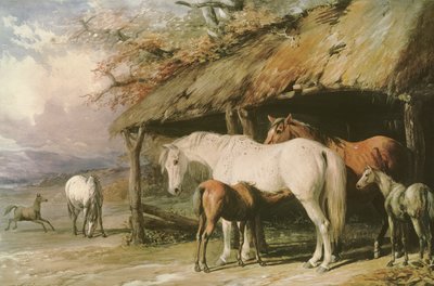 Yeguas y potros, siglo XIX de William Barraud