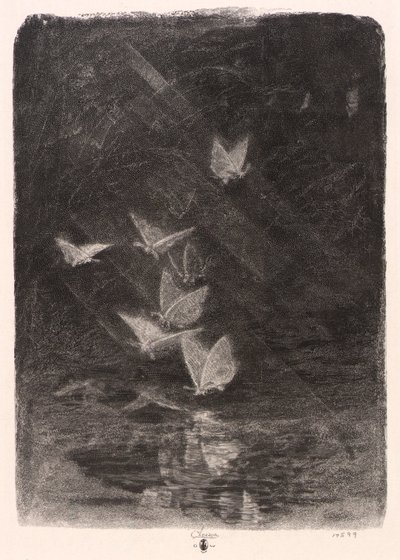 Polillas nocturnas de William Baxter Closson