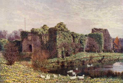 Castillo de Allington (litografía en color) de William Biscombe Gardner
