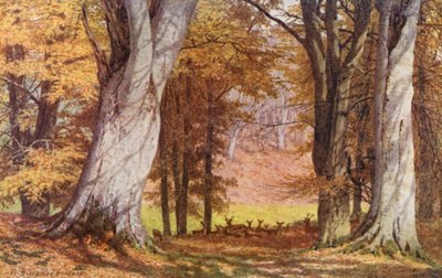 En Knole Park, cerca del King Beech (litografía en color) de William Biscombe Gardner
