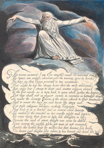 América. Una Profecía, Lámina 10, El Terror Respondió.... de William Blake
