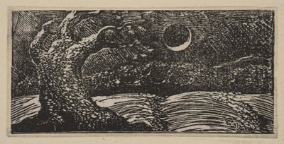 Árboles Destrozados y Cultivos Aplastados, de las Pastorales de Virgilio de Thornton de William Blake