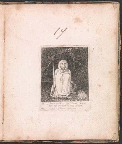 Para Niños. Las Puertas del Paraíso, Placa 18, He dicho al Gusano... de William Blake