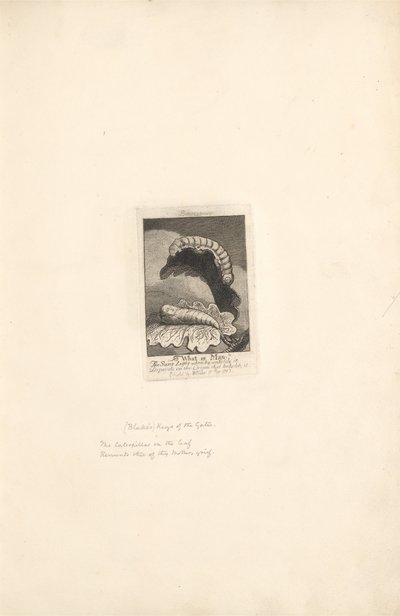 Para los sexos: Las puertas del paraíso, Placa 1, Página del título de William Blake