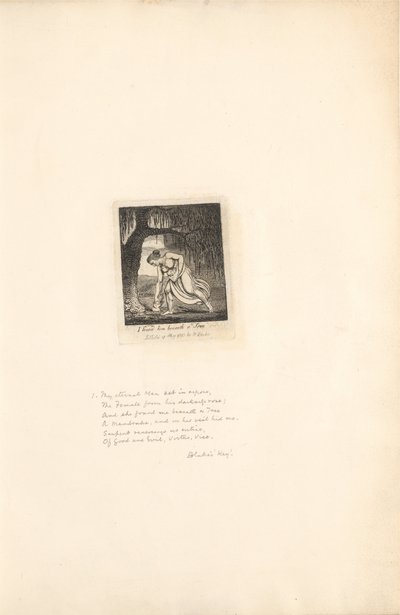 Para los Sexos - Las Puertas del Paraíso, Lámina 3, Lo encontré bajo un Árbol de William Blake