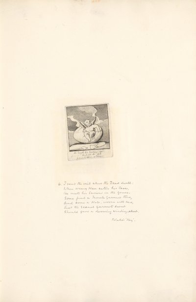 Para los Sexos - Las Puertas del Paraíso, Lámina 8, Al fin, listo para eclosionar, rompe el cascarón de William Blake