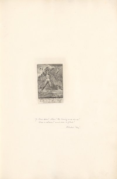 Para los Sexos - Las Puertas del Paraíso, Lámina 9, ¡Ay! de William Blake