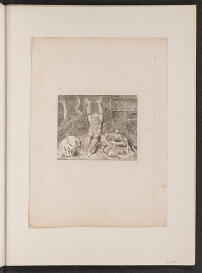 La desesperación de Job de William Blake