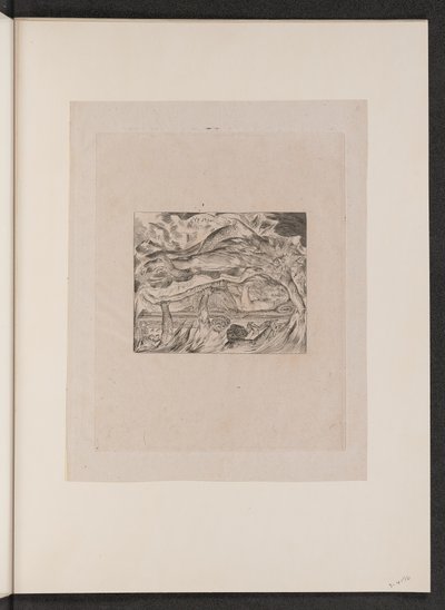 Los Sueños Malignos de Job, 1825 de William Blake