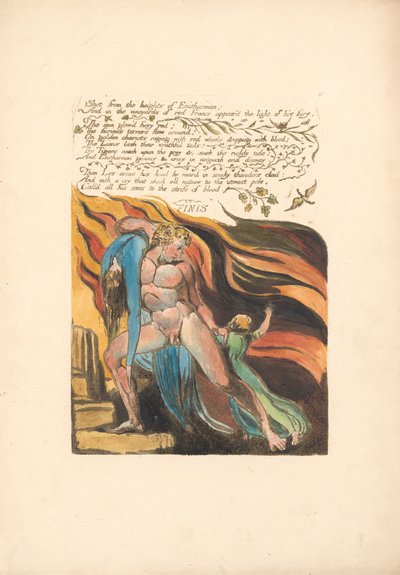 Schuss von den Höhen von Enitharmon (Platte 17) de William Blake