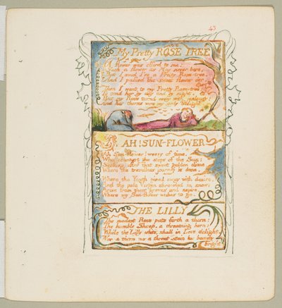 Canciones de Inocencia y de Experiencia: Mi bonito rosal, ¡Ah! Girasol, El lirio, ca. 1825 de William Blake