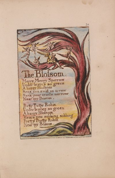 Canciones de Inocencia y de Experiencia, Placa 20, La Flor (Bentley 11) de William Blake