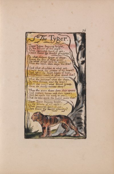 Canciones de inocencia y de experiencia, Placa 36, El tigre (Bentley 42) de William Blake