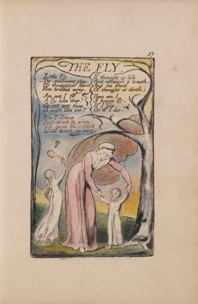 Canciones de Inocencia y de Experiencia, Lámina 37, La Mosca (Bentley 40) de William Blake