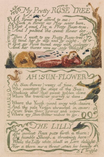 Canciones de la inocencia y de la experiencia, plancha 47, "Mi bonito rosal" (Bentley 43) de William Blake