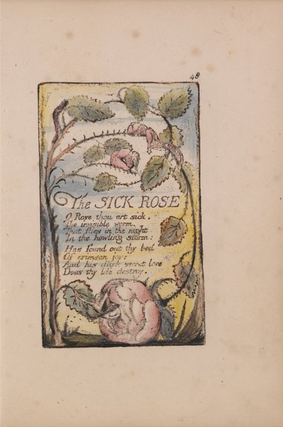 Canciones de Inocencia y de Experiencia, Lámina 48, La Rosa Enferma (Bentley 39) de William Blake