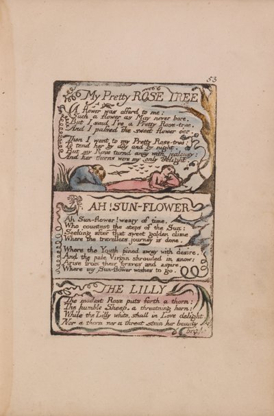 Canciones de Inocencia y de Experiencia, Placa 53, Mi Hermoso Rosal, ¡Ah! Girasol, El Lirio de William Blake