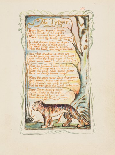 Canciones de inocencia y de experiencia: El tigre, c.1825 de William Blake