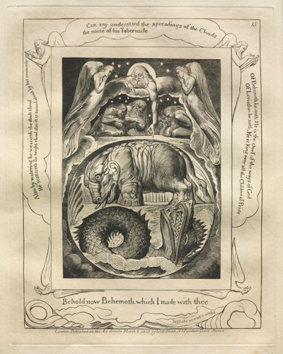 The Book of Job:  Pl. 15, Behold now Behemoth which I made with thee de William Blake