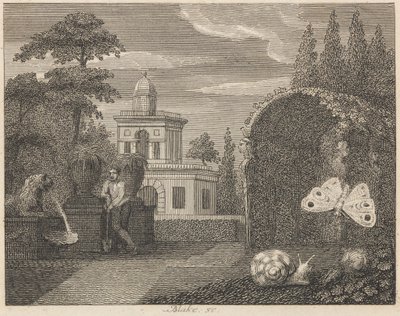 La mariposa y el caracol de William Blake