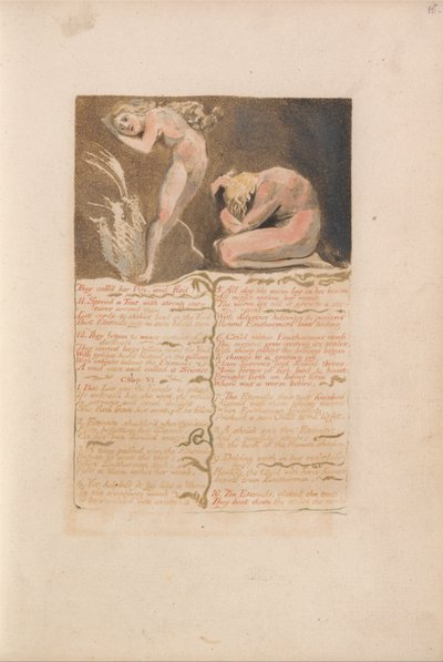 El Primer Libro de Urizen, Placa 19, La Llamaron Piedad y Huyeron (Bentley 19) de William Blake