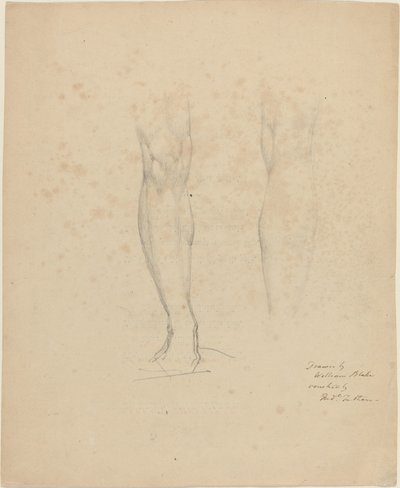 Dos piernas de William Blake