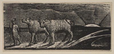 Novillas sin yugo, holgazaneando hacia casa, de Pastorales de Virgilio de Thornton, 1821 de William Blake