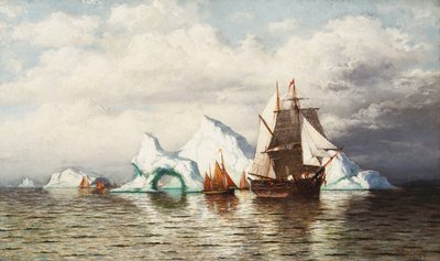 Entre los icebergs, costa de Labrador de William Bradford