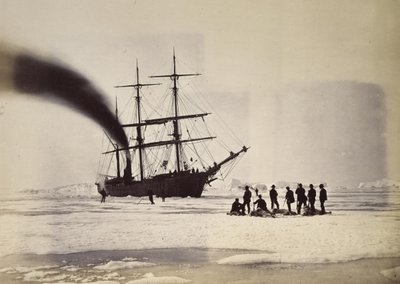 Caza con vapor en la Bahía de Melville de William Bradford