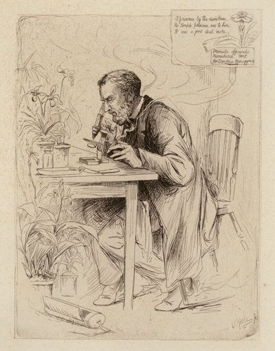 Alexander Dickson, Profesor de Botánica (grabado) de William Brassey (after) Hole