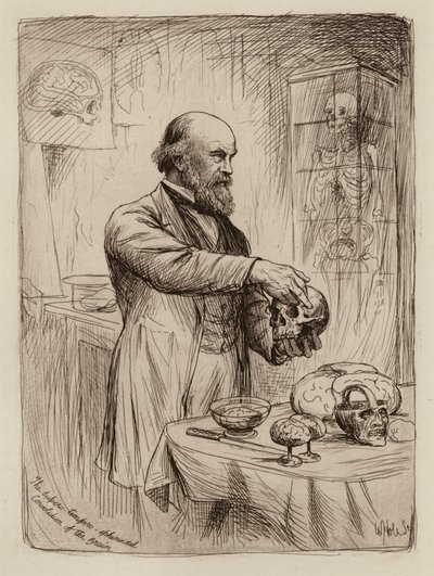 William Turner, profesor de anatomía (grabado) de William Brassey (after) Hole