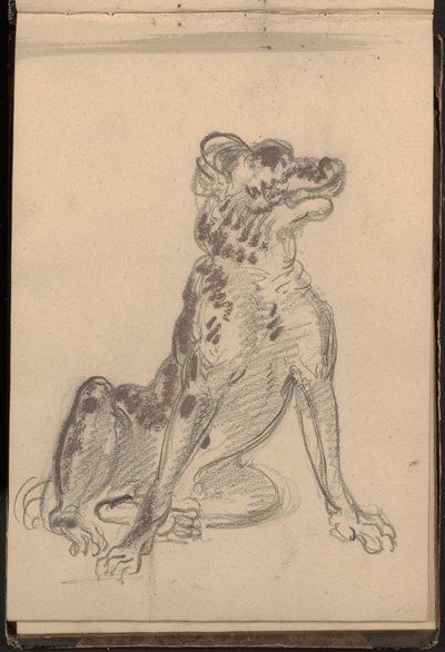 Retrato de un perro de William Brockedon