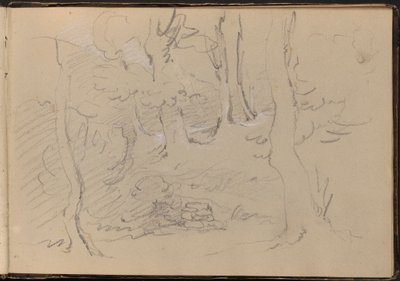 Bosquejo de un grupo de árboles de William Brockedon