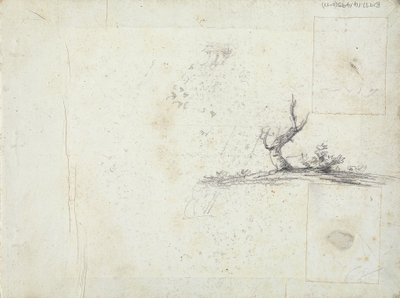 interior de la portada: Bosquejo de un árbol (invertido) de William Brockedon