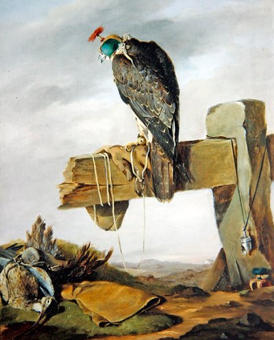 Un halcón peregrino en su capucha con un zarapito en el suelo de William Brodrick