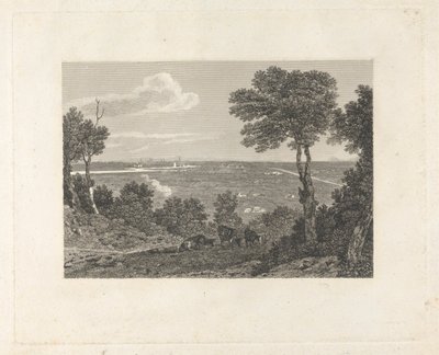 Vista lejana de Chester de William Byrne