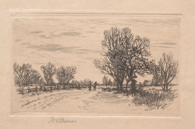 Paisaje de William C. Bauer