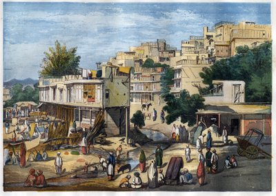 Vista de Peshawar, Pakistán de William Carpenter