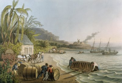 Transportando y Cargando Barriles de Azúcar a Bordo, placa X de 