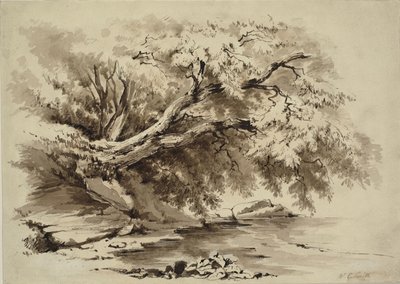 Paisaje con árboles colgando sobre un lago de William Collingwood Smith