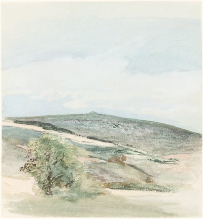 Un páramo en Sussex de William Collins