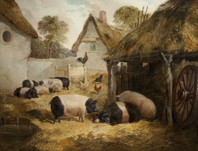 Hospitalidad de la Cabaña de William Collins