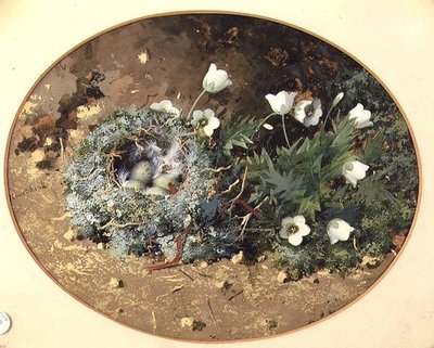 Nido de pájaro con campanillas blancas de William Cruikshank