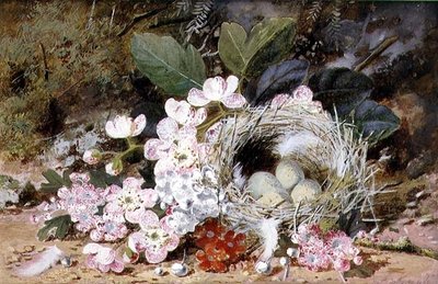Naturaleza muerta de nido de pájaro con prímulas de William Cruikshank